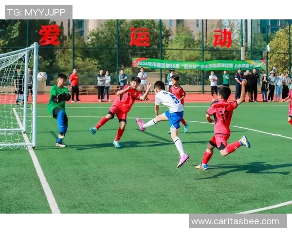 穿上球星球衣驰骋绿茵场体验传奇瞬间享受足球的激情与荣耀