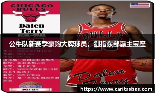 公牛队新赛季豪购大牌球员，剑指东部霸主宝座
