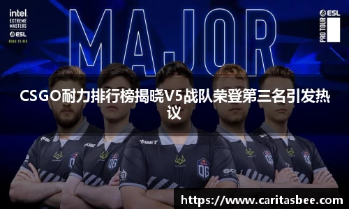 CSGO耐力排行榜揭晓V5战队荣登第三名引发热议