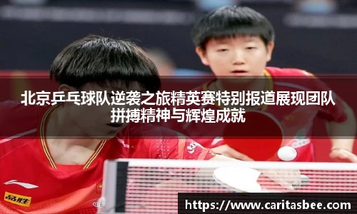 北京乒乓球队逆袭之旅精英赛特别报道展现团队拼搏精神与辉煌成就