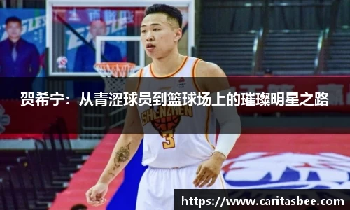 贺希宁：从青涩球员到篮球场上的璀璨明星之路