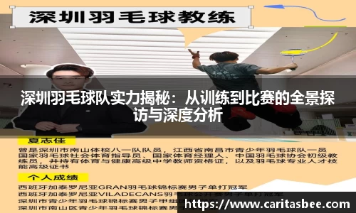 深圳羽毛球队实力揭秘：从训练到比赛的全景探访与深度分析